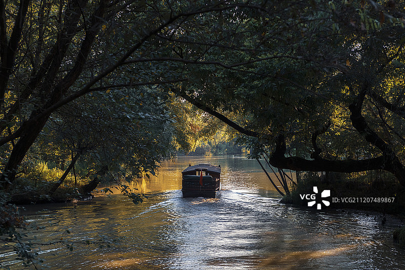 杭州西溪湿地图片素材