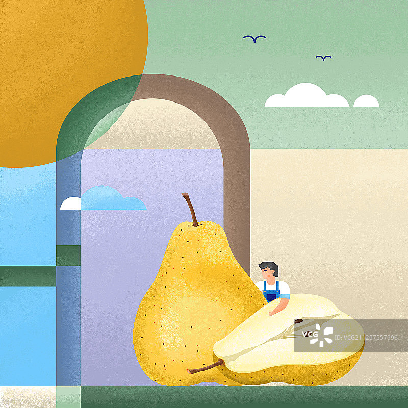 果蔬与农民系列梨图片素材