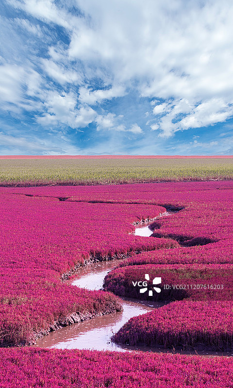 辽宁省盘锦市红海滩风景区图片素材