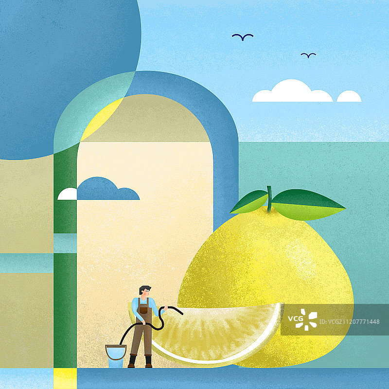 果蔬与农民系列柚子图片素材