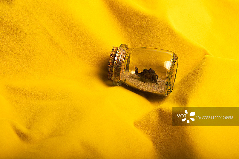 沙漠瓶子中的骆驼图片素材