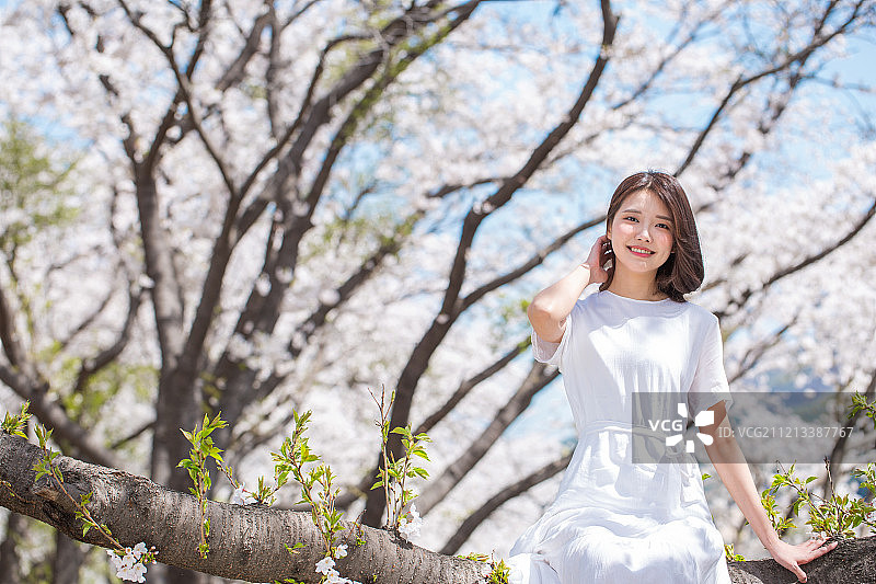 春天，女人在樱花树枝上微笑放松图片素材