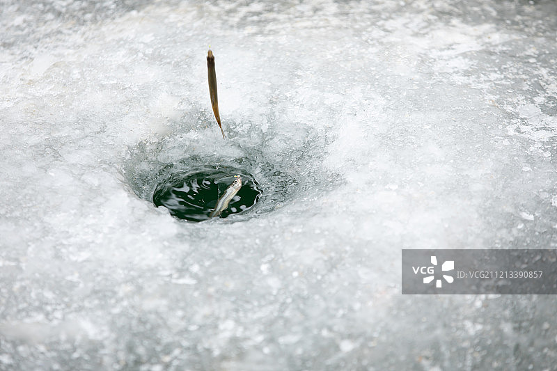 冰鱼，冰上钓鱼，冰窟窿图片素材