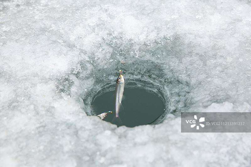冰鱼，冰上钓鱼，冰窟窿图片素材