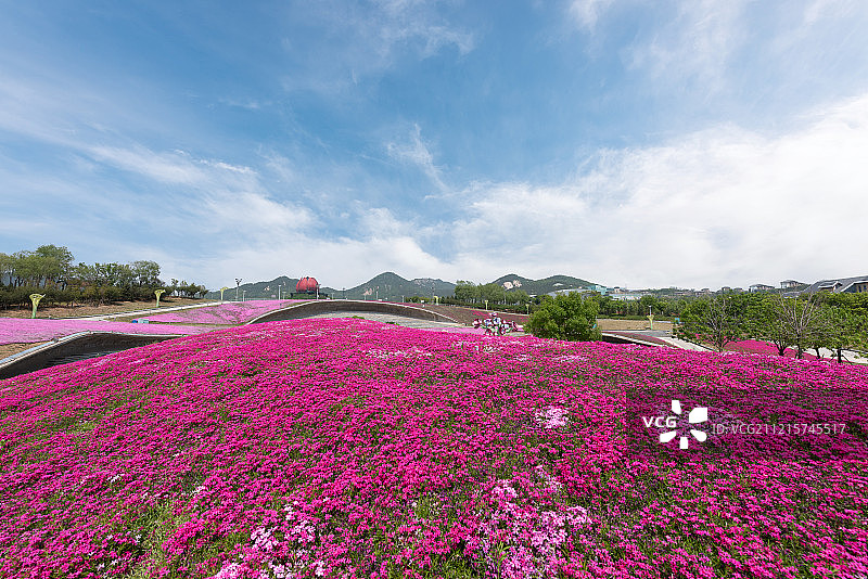 青岛世园会日景图片素材