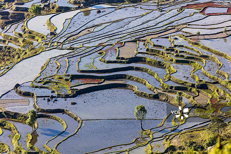 云南红河县撒玛坝梯田图片素材