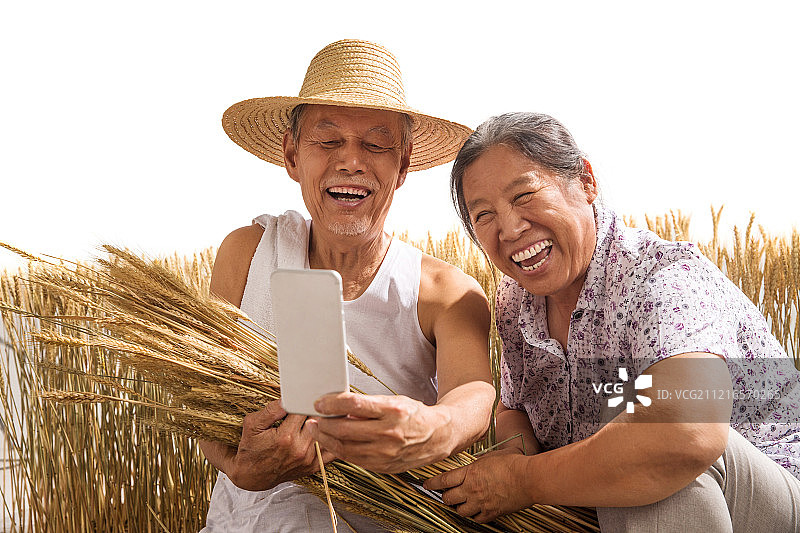 老年夫妇在麦田图片素材