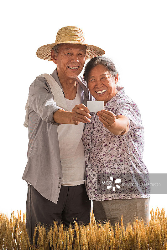 老年夫妇在麦田图片素材
