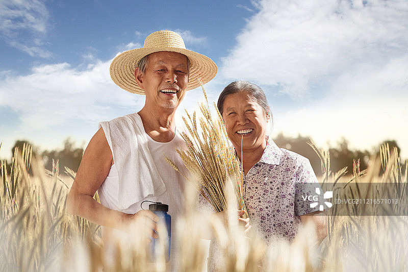 老年夫妇在麦田图片素材