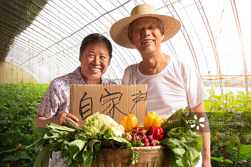 农民夫妇出示自家蔬菜图片素材