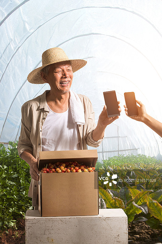 老农民销售自家水果图片素材