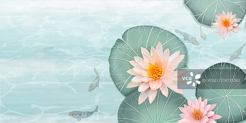凉爽夏天荷花在池塘里绽放，锦鲤在游泳中国风工笔画海报背景插画图片素材