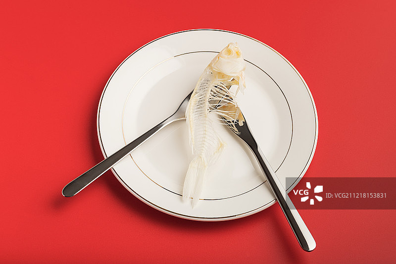 餐盘中的鱼骨图片素材