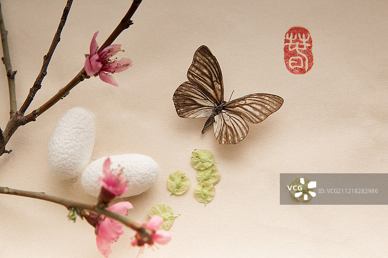中国画蝴蝶、桃花和蚕茧图片素材