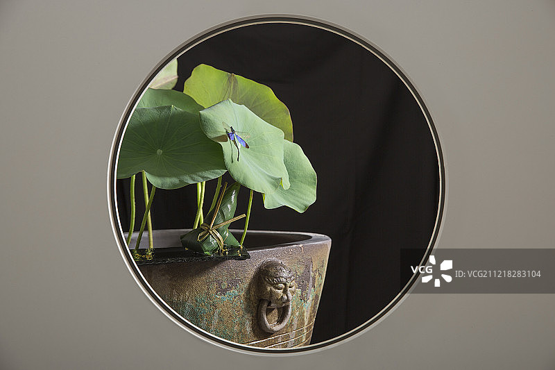 中式圆窗透景创意-粽子和荷叶静物图片素材