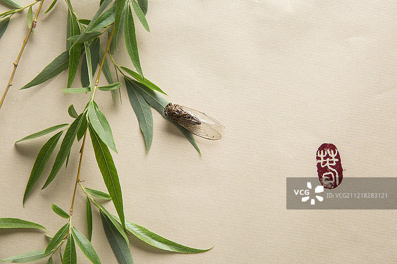 创新中国画柳树和蝉图片素材