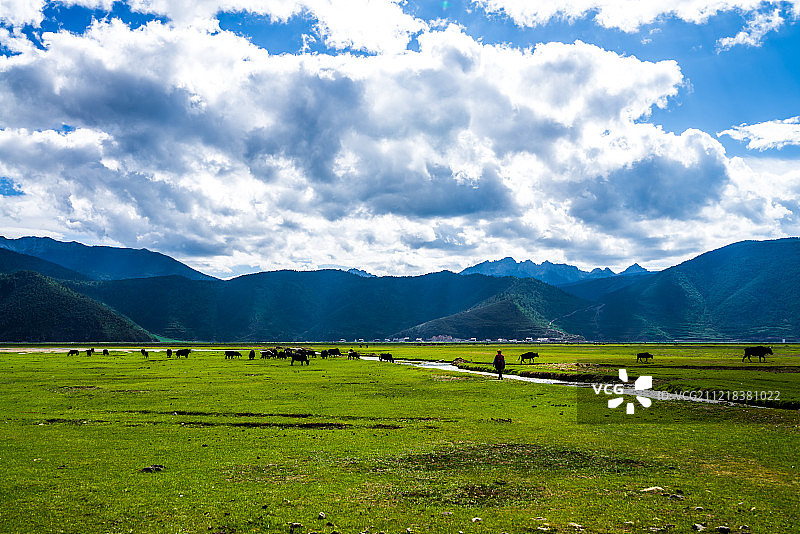 云南香格里拉普达措国家公园风光图片素材