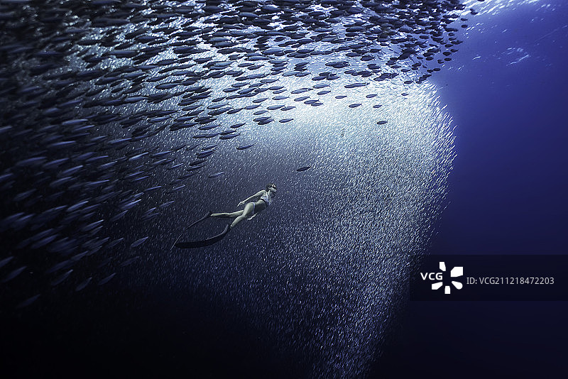 水下摄影图片素材