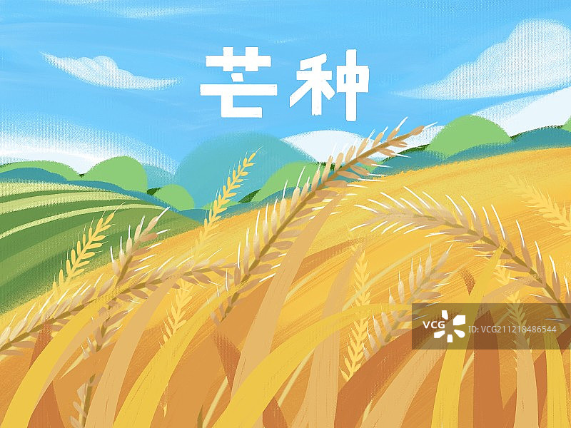 二十四节气插画芒种季节初夏图片素材