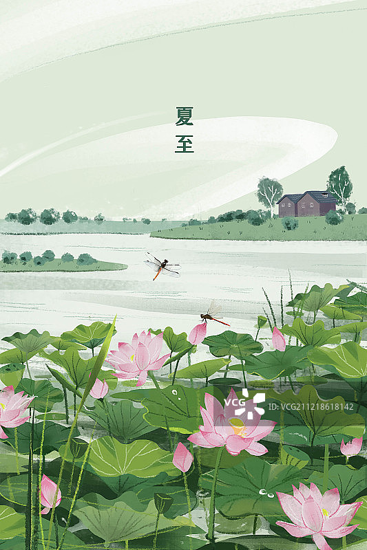 夏至-加字图片素材