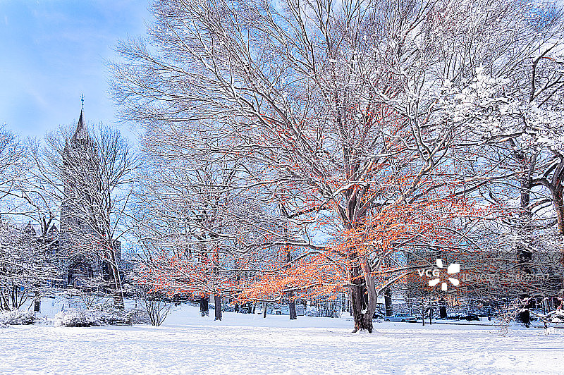 理海大学校园雪景图片素材