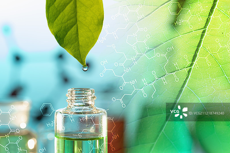 精油植物图片素材