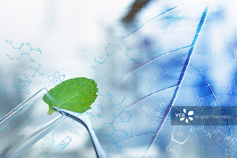 实验室玻璃器皿器具试管图片素材