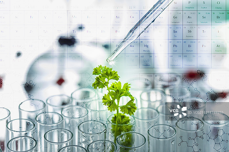 实验室玻璃器皿器具试管图片素材