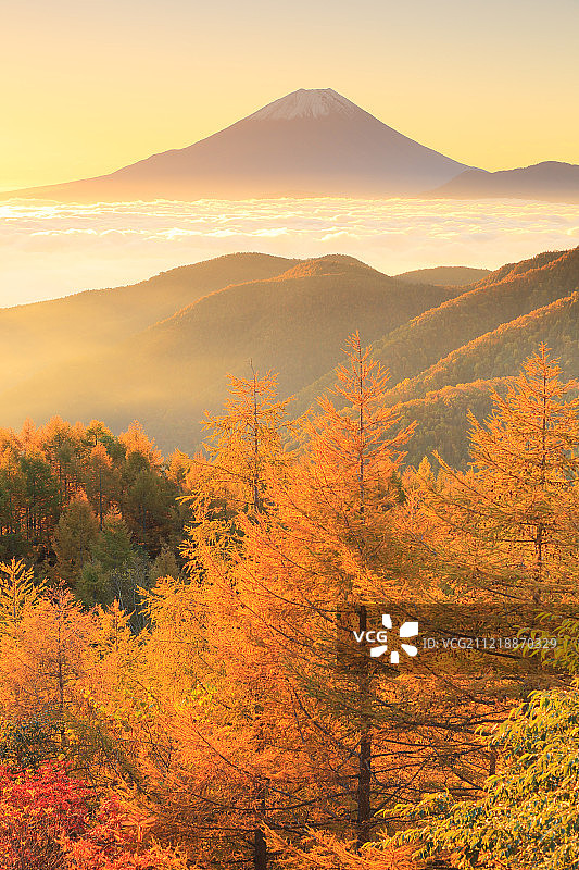 山梨县的富士山图片素材
