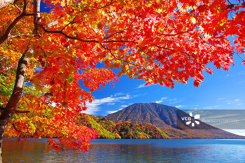 口木县,日本图片素材