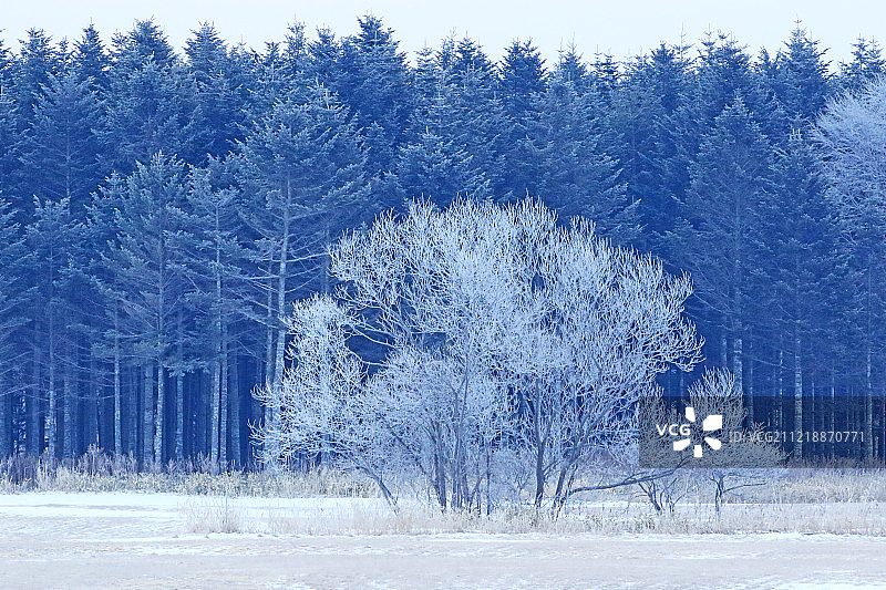 日本北海道图片素材