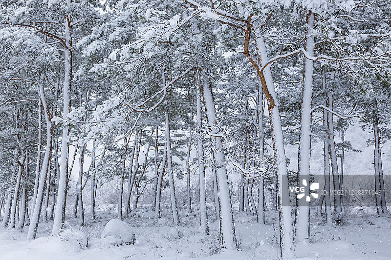 日本岐阜县图片素材