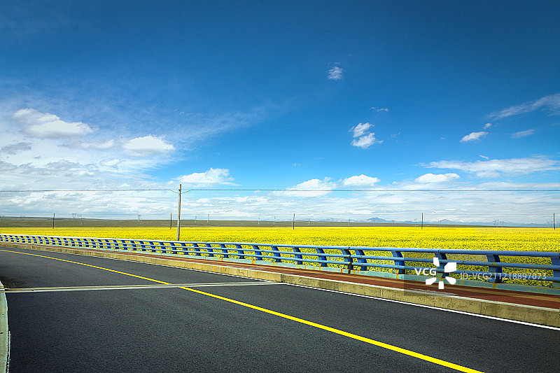 青海油菜花中的高速公路图片素材