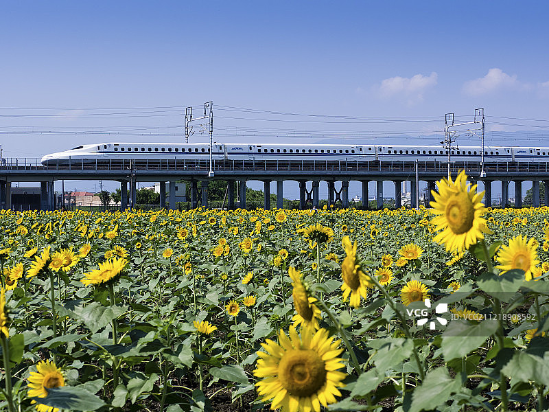 日本岐阜县图片素材