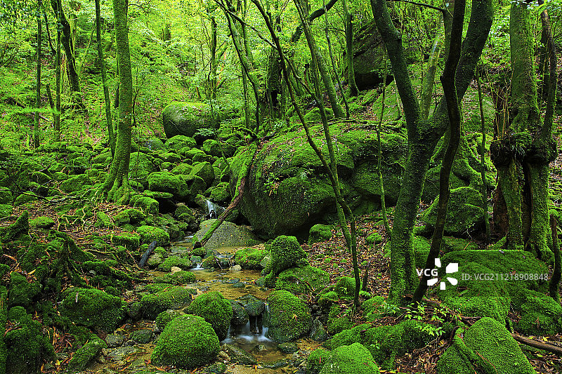 日本鹿儿岛县图片素材