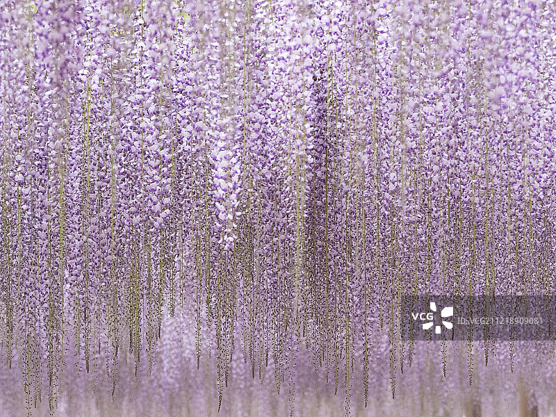 日本爱知县图片素材