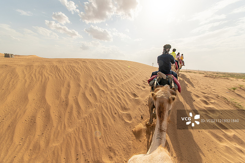 沙漠中的驼队图片素材