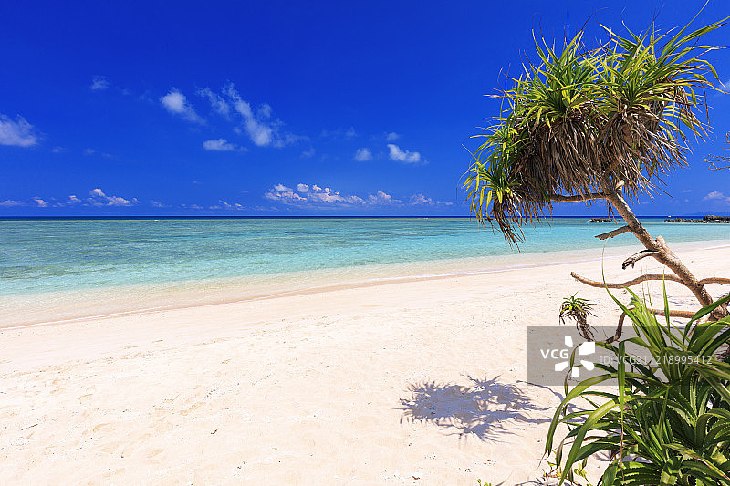 日本冲绳图片素材