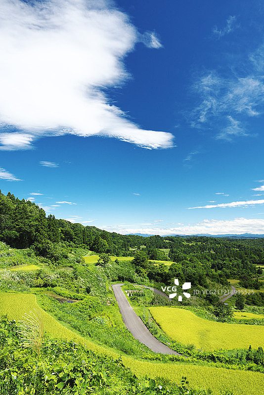 日本新泻县图片素材