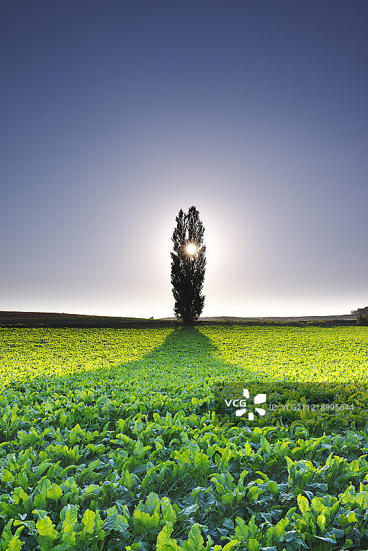 日本北海道图片素材