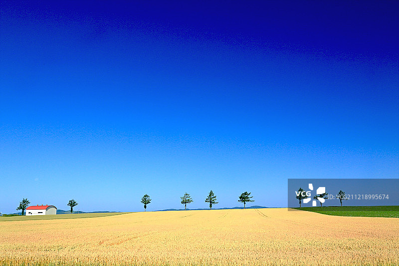 日本北海道图片素材