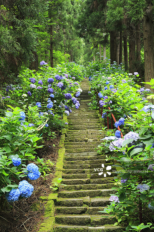 日本山形县图片素材