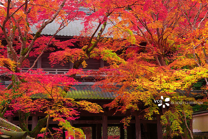 志贺县,日本图片素材