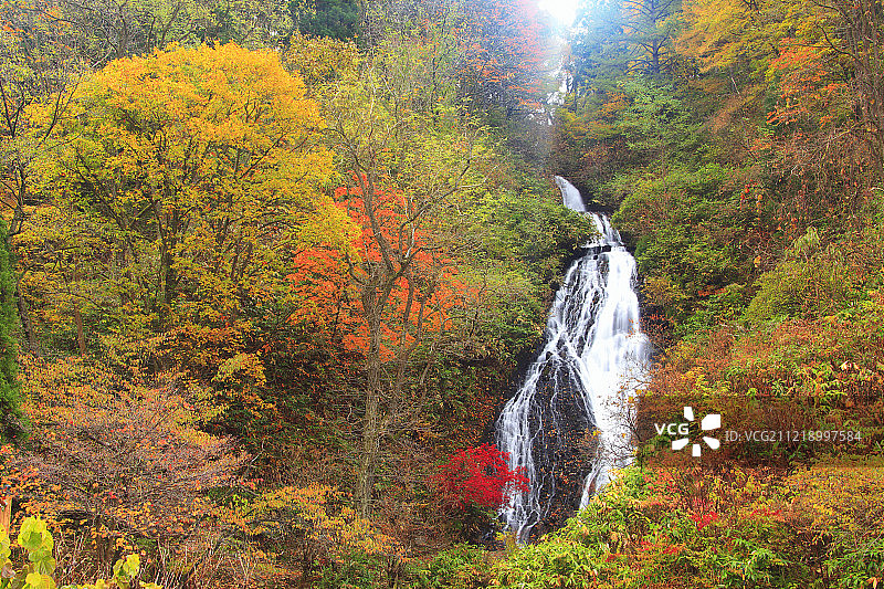日本秋田县图片素材