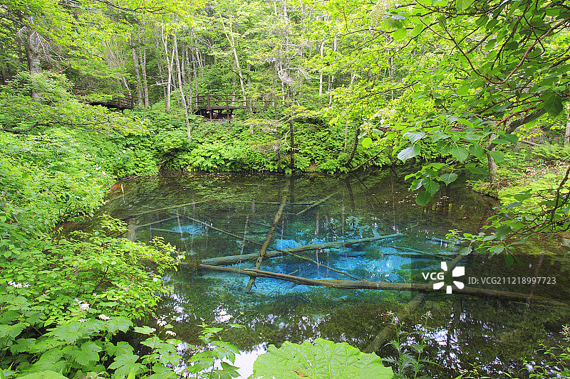 日本北海道图片素材