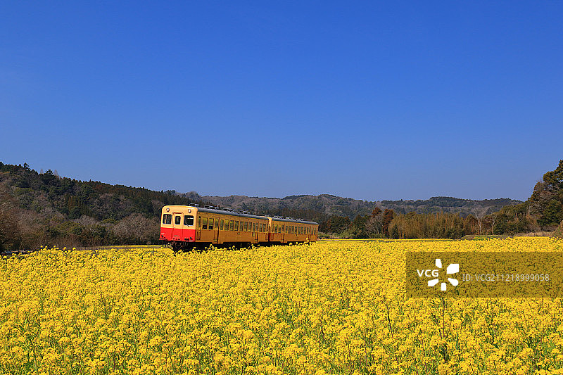 日本千叶县图片素材