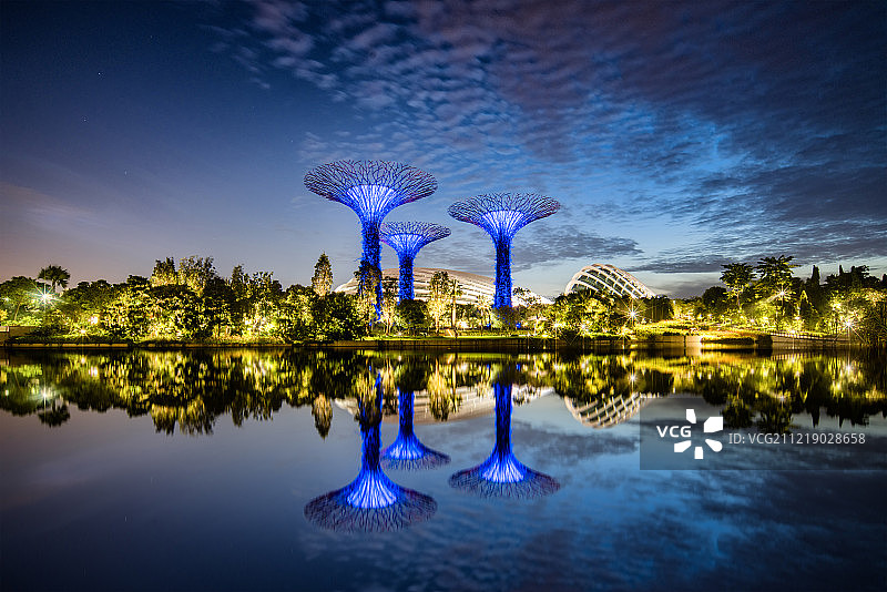 新加坡滨海湾花园超级树图片素材
