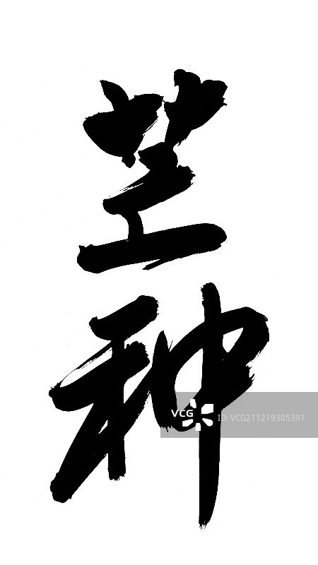 芒种艺术字图片素材