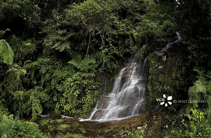 非洲马达加斯加Ranomafana雨林中的小瀑布图片素材