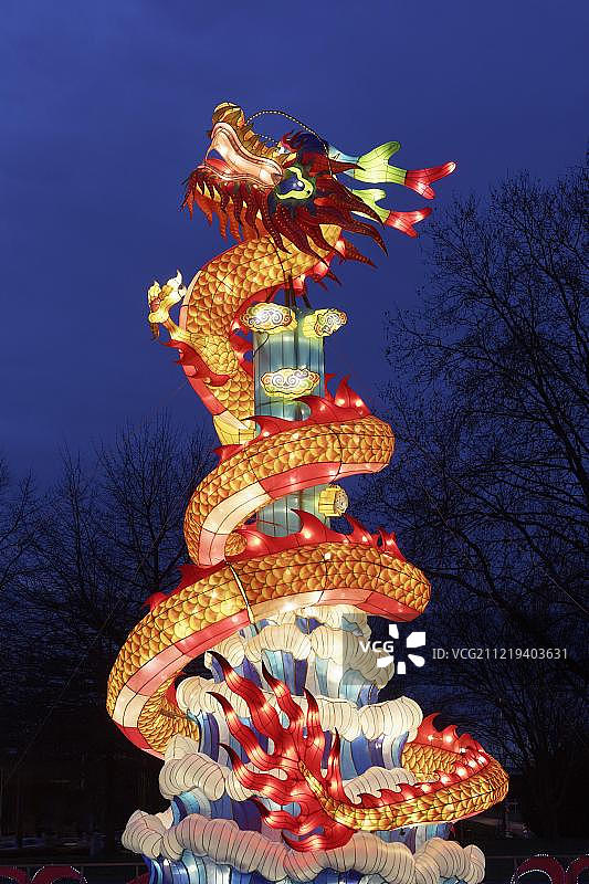 中国龙彩灯，灯光装置，科隆灯光节，科隆动物园，德国北莱茵-威斯特法伦州图片素材